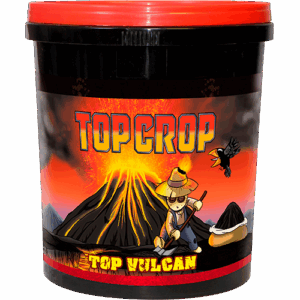 Top Crop Top Vulcan (Harina de Lava)