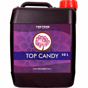 Top Crop Top Candy