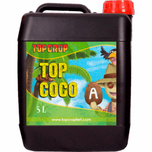 Top Crop Top Coco A