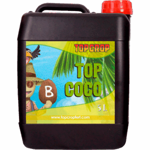 Top Crop Top Coco B