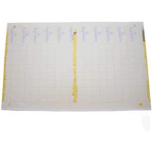 Trampa Adhesiva Amarilla 40x25cm Folio (10Und)