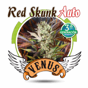 Red Skunk Auto