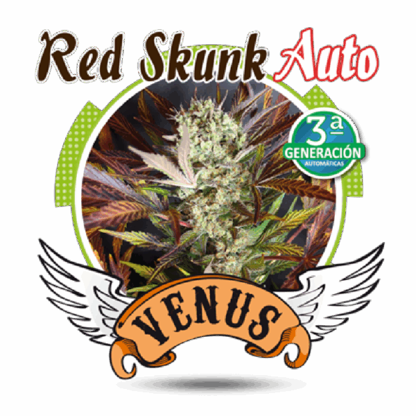Red Skunk Auto