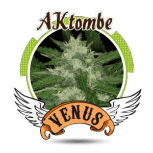 AKtombe Fem