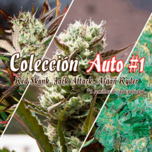 Coleccion Auto #1