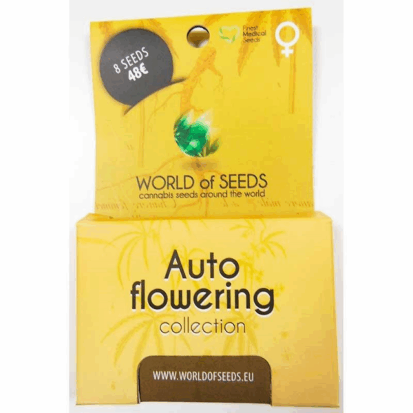 Auto Collection 8Und
