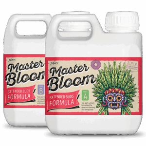 Xpert Nutrients Master Bloom A+B